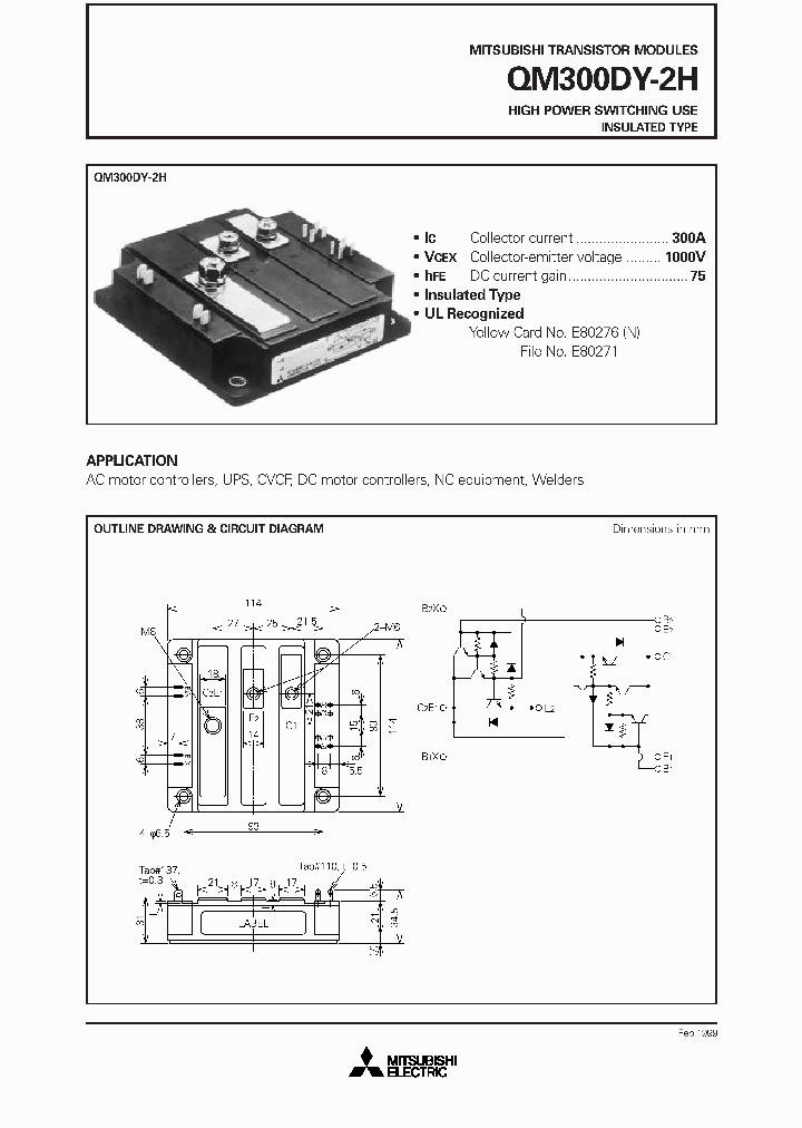 QM300DY-2H_186647.PDF Datasheet