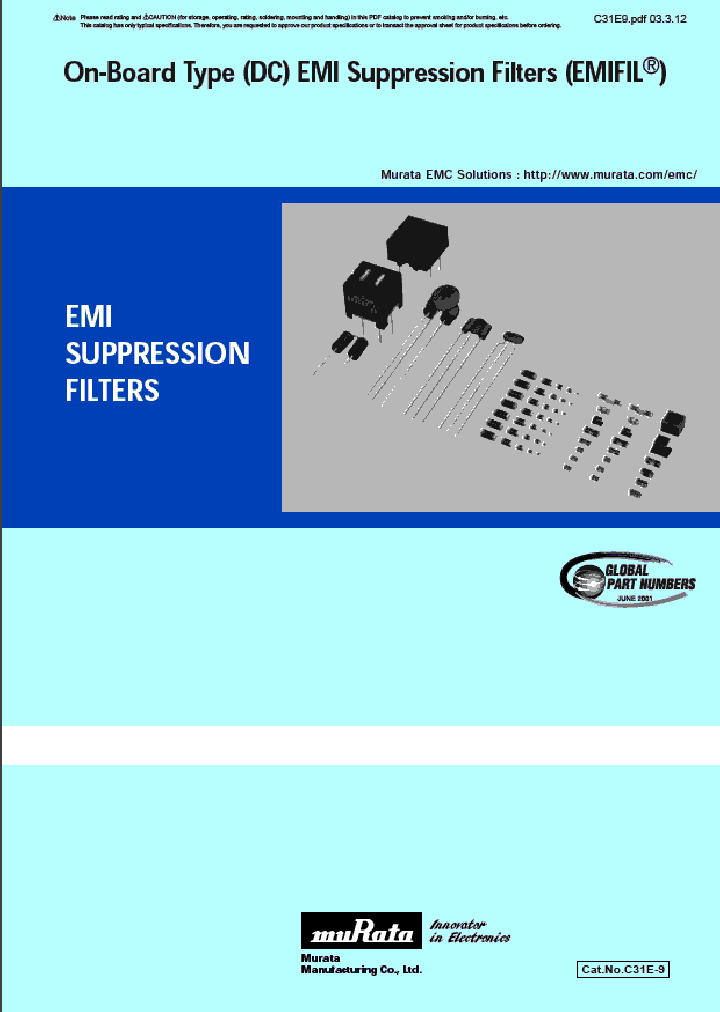 BL01RNXXX_365178.PDF Datasheet