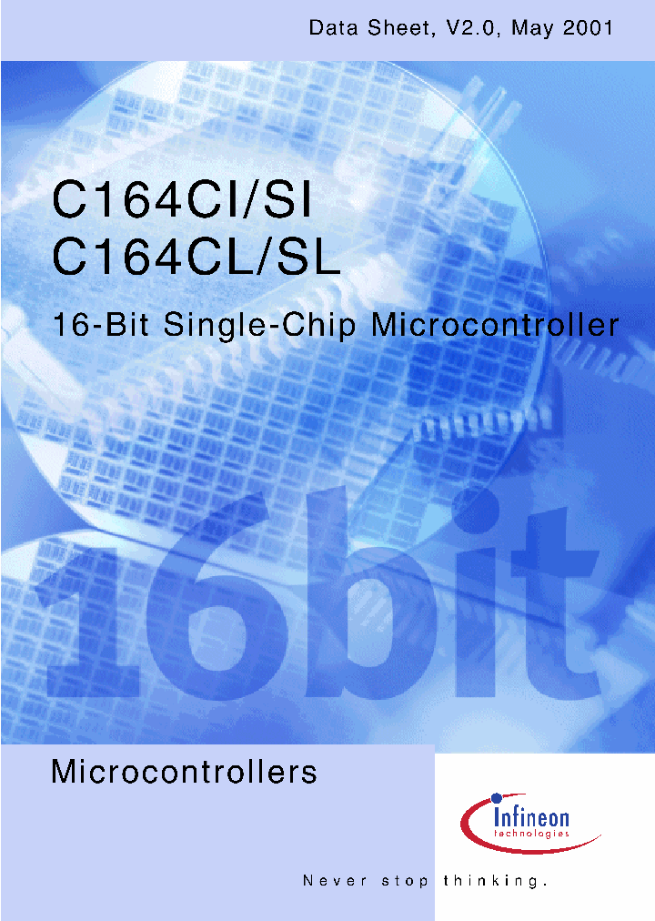 SAF-C164CI-8EM_110823.PDF Datasheet