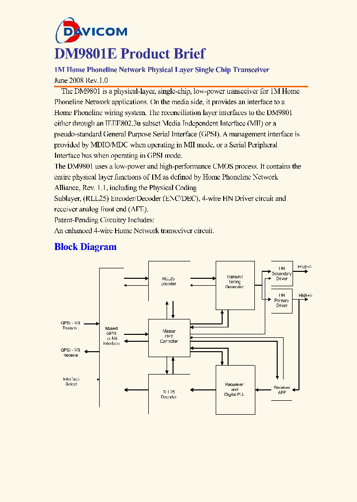 DM9801E_4600278.PDF Datasheet