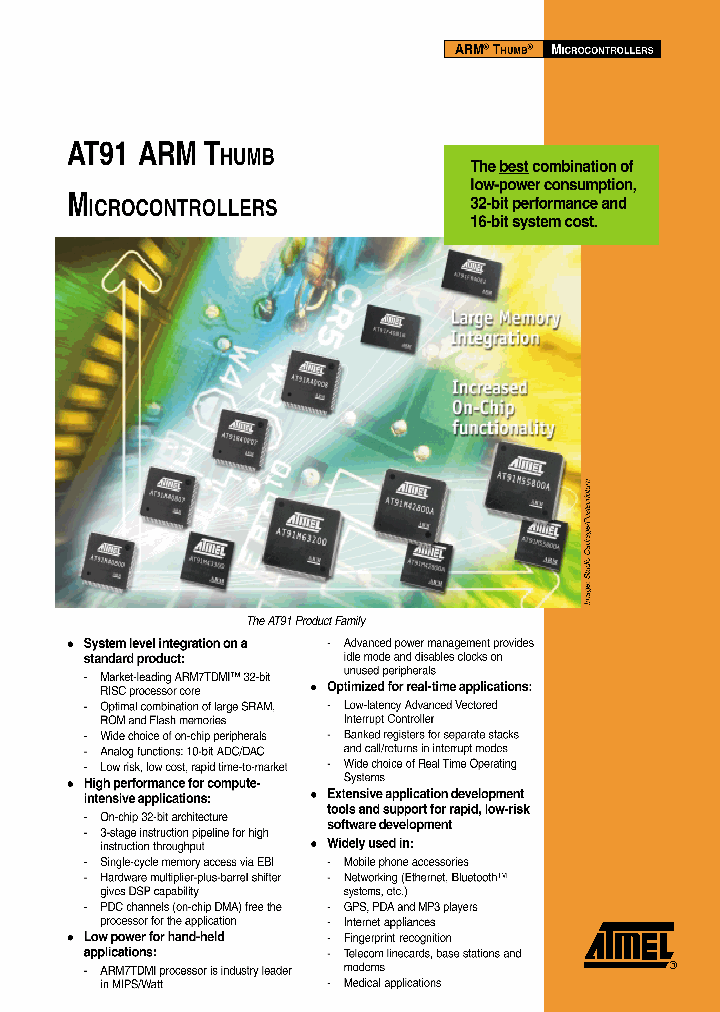 AT91_975033.PDF Datasheet