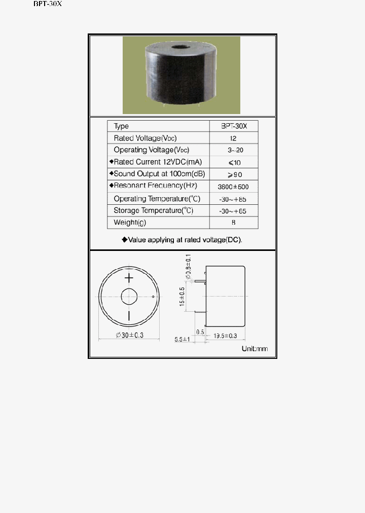 BPT-30X_331852.PDF Datasheet