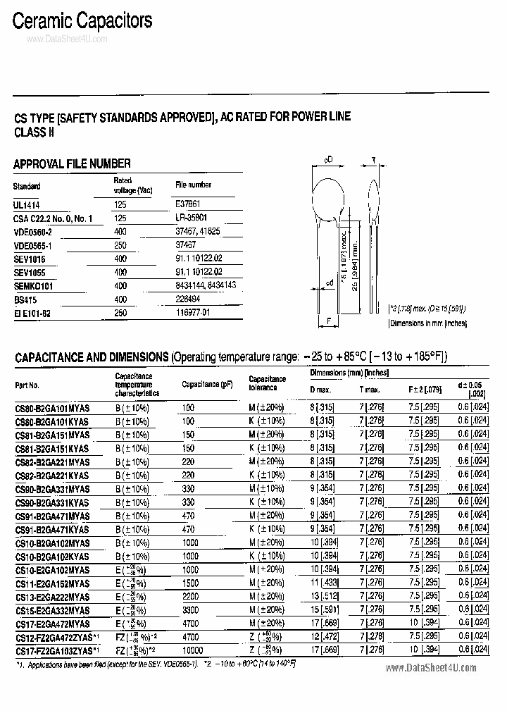 CS10-B2GA102KYAS_216673.PDF Datasheet