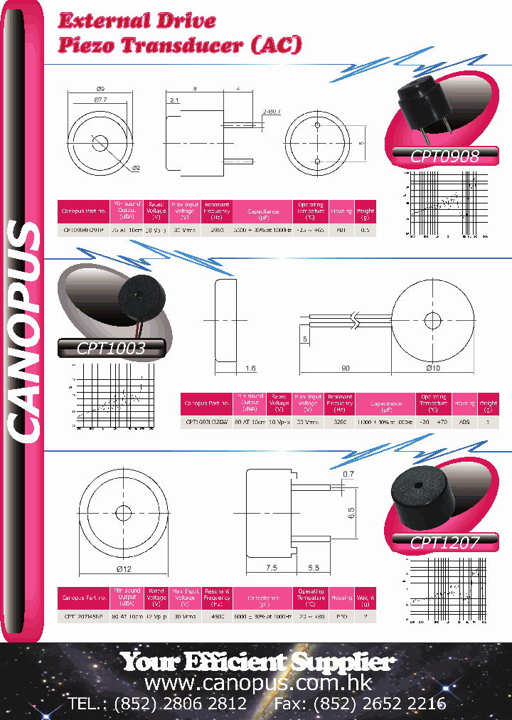 CPT1207I45NP_2756217.PDF Datasheet