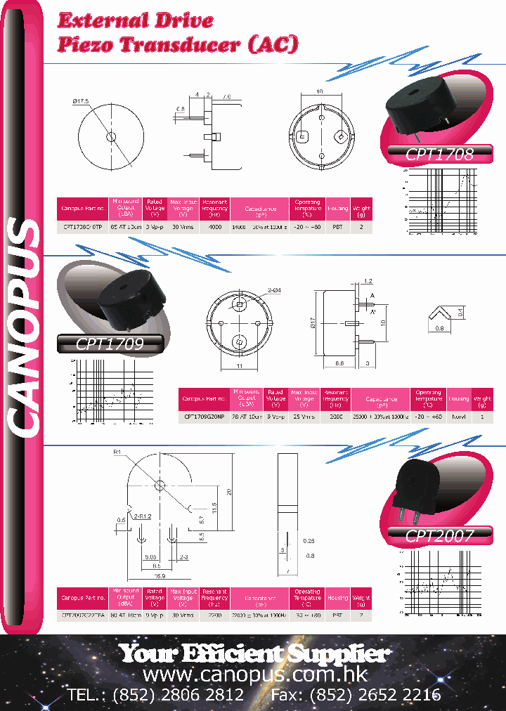 CPT2007_3172124.PDF Datasheet